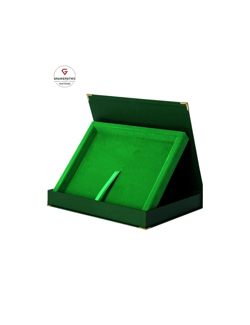 Etui zielone poziom.